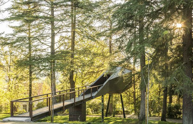 The Tree Snake Houses in Portugal