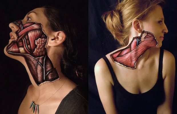 Danny Quirk's realistic anatomical ilustrations