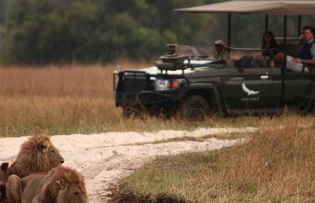 The Best Luxury Safari Camps in Africa