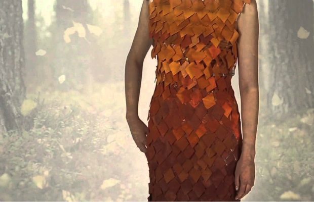 coverThe World's First Interactive Dress