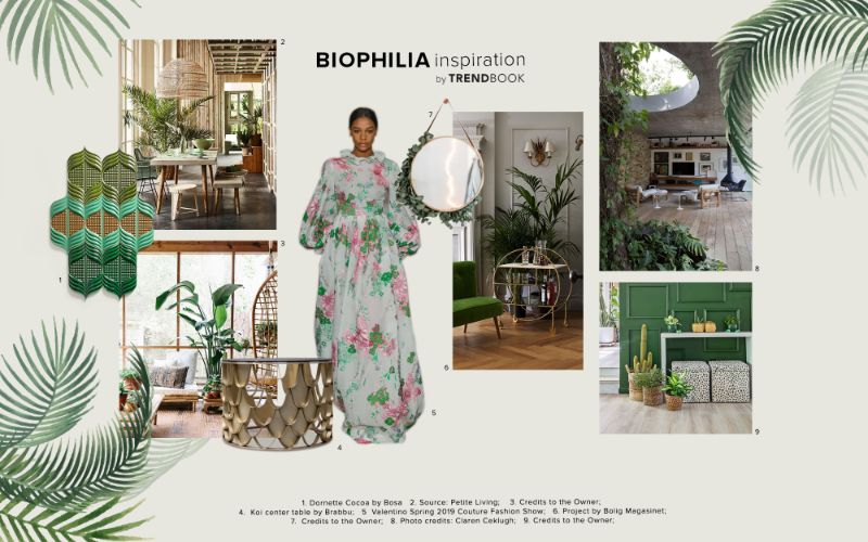 Seeking Connection with Nature - Biophilia Interior Design Trends